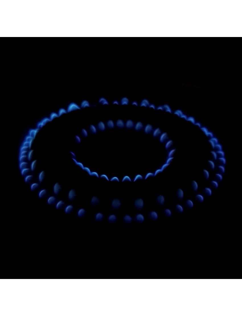 Gas regulator with gas hose 50 mbar (set)